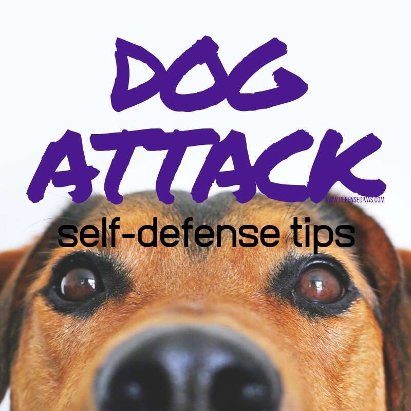 10 dog attack self defense tips how to