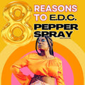 Eight Compelling Reasons to Everyday Carry Pepper Spray Self-Defense