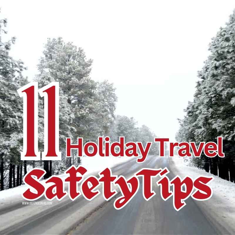 eleven-tips-to-travel-safe-home-for-holidays